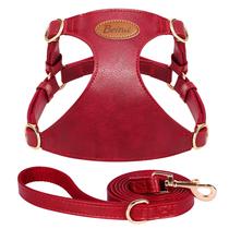 Conjunto de arnês e coleira para cães em couro PU elegante Beirui para cães pequenos Conjunto de arnês e coleira para cães em couro PU elegante Beirui para cães pequenos