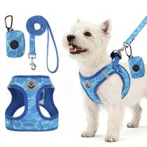 Conjunto de arnês e coleira para cães PAWCHIE Step in No Pull para cães