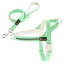 Conjunto de arnês e coleira para cães Plutus Pet Reflective Light Green