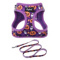 Conjunto de arnês e coleira para cães PUPTECK para cães pequenos e médios