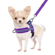 Conjunto de arnês e coleira para cães SlowTon No Pull para cães pequenos XS