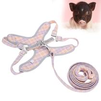 Conjunto de arnês e coleira para cães WNSC respirável ajustável laranja Conjunto de arnês e coleira para cães WNSC respirável ajustável laranja