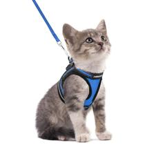 Conjunto de arnês e coleira para gatos rabbitgoo para Walking Blue S