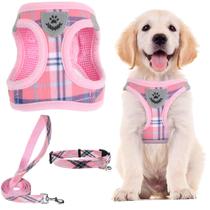 Conjunto de arnês para animais de estimação PUPTECK ajustável Step-in No Pull Reflective