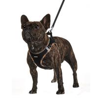 Conjunto de arnês para cães AMTOR No Pull, coleira reflexiva ajustável