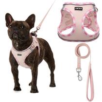 Conjunto de arnês para cães AMTOR Small com coleira para treinar e caminhar
