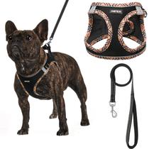 Conjunto de arnês para cães AMTOR Small com coleira para treinar e caminhar