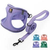 Conjunto de arnês para cães BELLA & PAL PUPPY com coleira para cães pequenos, roxo Conjunto de arnês para cães BELLA & PAL PUPPY com coleira para cães pequenos, roxo