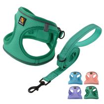 Conjunto de arnês para cães BELLA & PAL Small Emerald com coleira refletivo Conjunto de arnês para cães BELLA & PAL Small Emerald com coleira refletivo