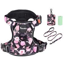 Conjunto de arnês para cães Petmolico, colete refletivo grande com coleira