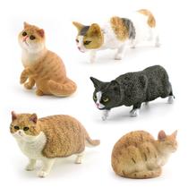 Conjunto de bonecos de gatos em miniatura, coleção realista de 5 peças em PVC