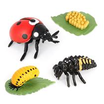 Conjunto de bonecos Ladybug Life Cycle de 4 peças de PVC para crianças
