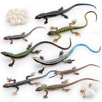 Conjunto de bonecos Lizard Life Cycle 8 peças Skinks Grass Lizards Kids Conjunto de bonecos Lizard Life Cycle 8 peças Skinks Grass Lizards Kids