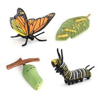 Conjunto de bonecos Monarch Butterfly Life Cycle, 4 peças de PVC Education