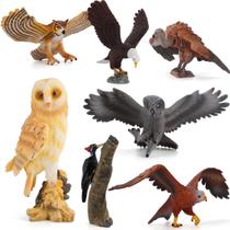 Conjunto de bonecos realista Bird of Prey, 7 peças de PVC para crianças a partir de 3 anos Conjunto de bonecos realista Bird of Prey, 7 peças de PVC para crianças a partir de 3 anos
