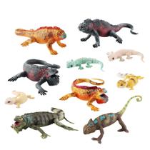 Conjunto de bonecos realistas de lagarto e camaleão, 10 peças de PVC para crianças Conjunto de bonecos realistas de lagarto e camaleão, 10 peças de PVC para crianças
