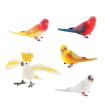 Conjunto de bonecos Realistic Parrot, 5 peças de PVC pintado à mão Conjunto de bonecos Realistic Parrot, 5 peças de PVC pintado à mão