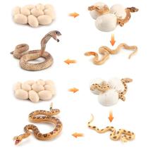 Conjunto de bonecos Snake Life Cycle, 12 peças de brinquedos infantis Cobra & Sand Boa