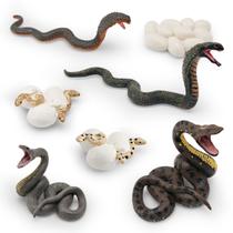 Conjunto de bonecos Snake Life Cycle, 8 peças de animais selvagens realistas
