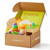 Conjunto de brinquedos Tiny Land Montessori 5 em 1 para bebês de 10 a 12 meses Conjunto de brinquedos Tiny Land Montessori 5 em 1 para bebês de 10 a 12 meses