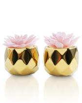 Conjunto de cerâmica de ouro rosa VIVERIE para plantas suculentas artificiais