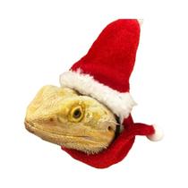 Conjunto De Chapéu E Cachecol De Natal Para Dragão Barbudo, Fantasia De Festival Para Pequenos