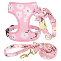 Conjunto de coleira, arnês e coleira para cães Beirui Cute Girl Pink M