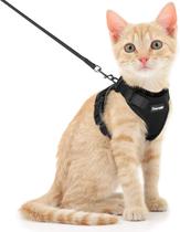 Conjunto de Coleira e Arnês para Gatos Dooradar - À Prova de Escape