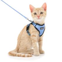 Conjunto de Coleira e Arnês para Gatos Dooradar - À Prova de Escape