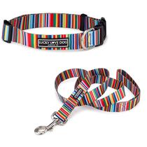 Conjunto de coleira e coleira Lucky Love Dog Rainbow para cães