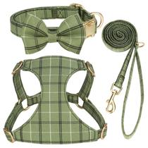 Conjunto de coleira e coleira para cães Beirui Cute Extra Small