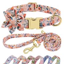 Conjunto de coleira e coleira para cães Beirui Cute Girl for Dogs Orange