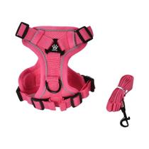 Conjunto De Coleira E Guia Refletiva E Respirável Para Cães Pequenos E Gatos Com Anel Em D