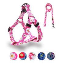 Conjunto de coleiras para cães QQPets ajustável, resistente, sem tração