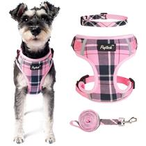 Conjunto de Coleiras PUPTECK para Cães Pequenos - Cor Rosa