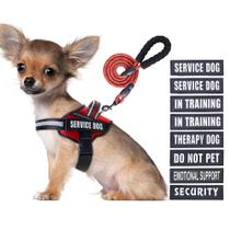 Conjunto de colete e coleira Service Dog Animire in Training