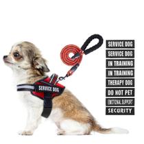 Conjunto de colete e coleira Service Dog Animire in Training