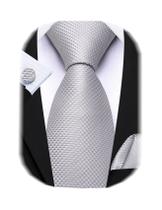 Conjunto de Corbata Barry.Wang Clásica en Seda con Pañuelo para Hombre