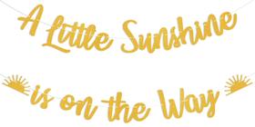 Conjunto de decoração Boho Sunshine Baby Shower A Little Sunshine Conjunto de decoração Boho Sunshine Baby Shower A Little Sunshine