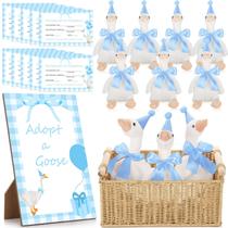 Conjunto de decoração de aniversário Silly Goose com pelúcia e acessórios