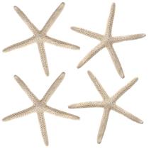 Conjunto de decoração natural Starfish PPCLION 18-20 cm, 4 peças