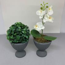 Conjunto de dois Vasos taça na cor cinza com planta