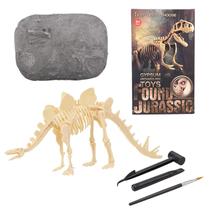 Conjunto de esqueleto de dinossauro de escavação Brinquedo de realização de educação fóssil de escavação de dinossauro Conjunto de esqueleto de dinossauro de escavação Brinquedo de realização de educação fóssil de escavação de dinossauro