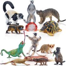 Conjunto de estatuetas de animais Toymany Madagascar, 12 unidades com peças realistas Conjunto de estatuetas de animais Toymany Madagascar, 12 unidades com peças realistas