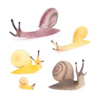Conjunto de estatuetas de caracol realista de 4 peças de PVC para crianças de mais de 3 anos Conjunto de estatuetas de caracol realista de 4 peças de PVC para crianças de mais de 3 anos