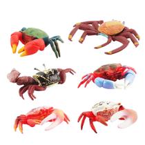 Conjunto de estatuetas de caranguejo realista, 6 peças, modelo de animal oceânico de plástico Conjunto de estatuetas de caranguejo realista, 6 peças, modelo de animal oceânico de plástico