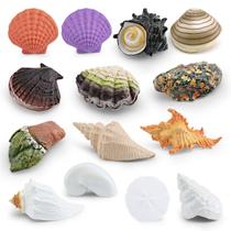 Conjunto de estatuetas de conchas marinhas de 14 peças de conchas oceânicas realistas de PVC Conjunto de estatuetas de conchas marinhas de 14 peças de conchas oceânicas realistas de PVC