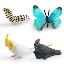 Conjunto de estatuetas de insetos e pássaros, 4 peças, modelos realistas de PVC Conjunto de estatuetas de insetos e pássaros, 4 peças, modelos realistas de PVC
