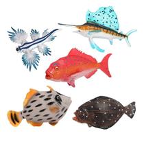 Conjunto de estatuetas de peixes oceânicos, 5 peças de modelos realistas de PVC para crianças Conjunto de estatuetas de peixes oceânicos, 5 peças de modelos realistas de PVC para crianças