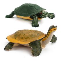 Conjunto de estatuetas Freshwater Turtle PVC Red-Eared Slider & Soft-Shell